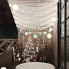 Image de Guirlande lumineuse Globe 40 m 400 LED Blanc froid 8 fonctions