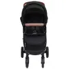 Image de vidaXL Poussette pour Bébé 2-en-1 Landau Pliable pour Tout-petit Enfants Poussette de Voyage Protection contre Rayons UV 10372