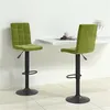Image de vidaXL Lot de 2 Tabourets de Bar, Chaise de Pub, Siège de Bistrot, Meuble de Salle à Manger Cuisine Salon Maison Intérieur, Vert Clair Velours 335765