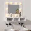 Image de Armoire à miroir avec LED blanc 60x31,5x62 cm