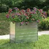 Image de Lit surélevé de jardin 100x40x77 cm Acier galvanisé Argenté