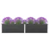 Image de Lit surélevé de jardin 200x50x54 cm WPC Gris