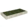 Image de vidaXL Gabion plantenbak verhoogd 200x100x20 cm gegalvaniseerd staal151312