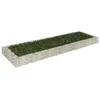 Image de Lit surélevé à gabion Acier galvanisé 300x100x20 cm