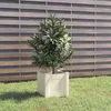 Image de Jardinière d extérieur Blanc 31x31x31 cm Bois de pin massif
