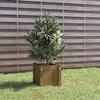 Image de Jardinière extérieur Marron miel 31x31x31 cm Bois de pin massif