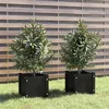 Image de vidaXL Jardinières d'extérieur 2 pcs Noir 31x31x31 cm Bois de pin810531