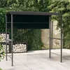 Image de vidaXL Prieel met dak 220x110x200 cm antracietkleurig318533