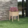 Image de vidaXL Jardinière d'extérieur 50x50x70 cm bois de pin massif 810799