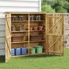Image de vidaXL Abri à outils de jardin 163x50x171 cm Bois de pin solide 318198