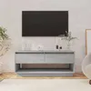 Image de Meuble TV Sonoma gris 102x41x44 cm Bois d ingénierie