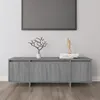Image de Meuble TV Sonoma gris 120x30x40,5 cm Bois d ingénierie