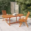 Image de vidaXL Chaises de jardin pliables 2 pcs Bois d'eucalyptus massif 316069