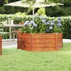 Image de Lit surélevé de jardin rouillé 129x129x45 cm acier corten