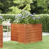 Image de Lit surélevé de jardin rouillé 100x100x77 cm acier corten