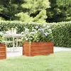 Image de Lit surélevé de jardin rouillé 100x40x45 cm acier corten