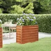 Image de Lit surélevé de jardin rouillé 100x40x77 cm acier corten