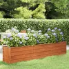 Image de Lit surélevé de jardin rouillé 240x40x45 cm acier corten