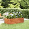 Image de Lit surélevé de jardin rouillé 160x80x45 cm acier corten