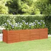 Image de Lit surélevé de jardin rouillé 320x80x77 cm acier corten