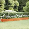 Image de Lit surélevé de jardin rouillé 600x80x45 cm acier corten