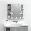 Image de Armoire à miroir avec LED Sonoma gris 70x16,5x60 cm
