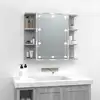 Image de Vidaxl Armoire Avec Miroir Et LED, Chêne Sonoma Gris, 70X16,5X60 Cm