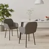 Image de Lot de 2 chaise Vidaxl H. 76 cm interieur gris en metal