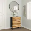 Image de vidaXL Buffet Armoire de Rangement Organisateur de Maison Armoire de Salon Meuble de Salle de Séjour Intérieur 60x33x75 cm Bois Massif de Manguier