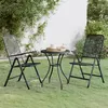 Image de vidaXL 3-delige Tuinset metaalgaas antracietkleurig3084709