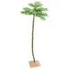 Image de vidaXL Palmboom LED 136 LED's warmwit 220 cm345139