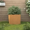Image de vidaXL Jardinière Rouillé 49x47x46 cm Acier corten 821551