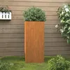 Image de Jardinière 32x29x75 cm acier corten