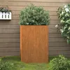 Image de Jardinière 42x38x75 cm acier corten
