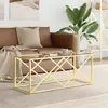 Image de Table basse 110x45x45 cm acier inoxydable et verre