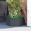 Image de vidaXL Jardinière anthracite PP 154984
