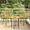 Image de Chaises de jardin lot de 2 48x62x84 cm Résine tressée