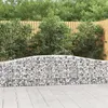 Image de vidaXL 3x Paniers à Gabions Arqués Cages à Gabions Arquées Murs de Gabion Barrières de Jardin Terrasse Extérieur 3145801