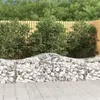 Image de Panier de gabions arqué 200x50x60 80 cm Fer galvanisé