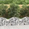 Image de Panier de gabions arqué 100x30x40 60 cm Fer galvanisé