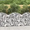 Image de Panier de gabions arqué 100x30x80 100 cm Fer galvanisé