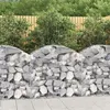 Image de vidaXL Schanskorf gewelfd 100x50x80/100 cm gegalvaniseerd ijzer153434