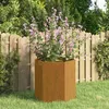 Image de Jardinière Rouillé 40x40x45 cm Acier corten
