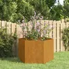 Image de Jardinière Rouillé 60x60x45 cm Acier corten
