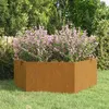 Image de Jardinière Rouillé 138x120x45 cm Acier corten