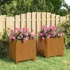 Image de vidaXL Jardinières avec Pieds 2 pcs, Lits Surélevé, Bacs à Fleurs, Pots de Plantes, Boîtes à Fleurs Jardin Patio Terrasse, Rouillé 32x30x33 cm Acier Corten