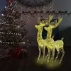 Image de vidaXL Rennes de Noël XXL Acrylique 250 LED 2 pcs 180 cm Blanc chaud