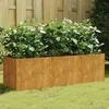 Image de Lit surélevé de jardin 120x40x40 cm acier corten