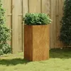 Image de Jardinière 40x40x80 cm acier corten