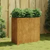 Image de Jardinière 80x40x80 cm acier corten